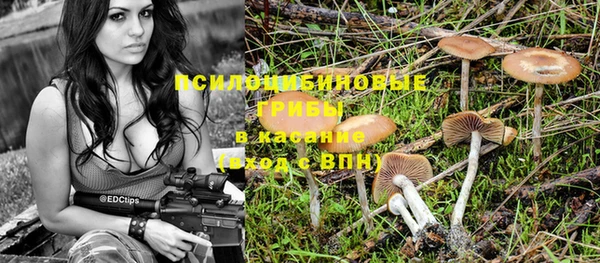 ешки Алексеевка