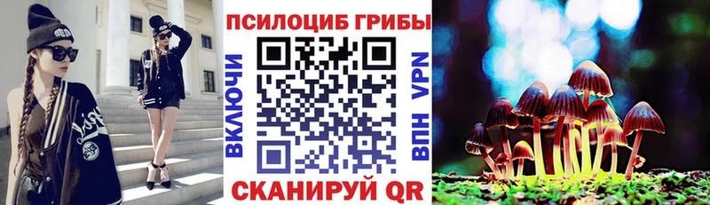 Галлюциногенные грибы мухоморы  наркотики  даркнет как зайти  Хвалынск 
